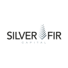 silver-fir
